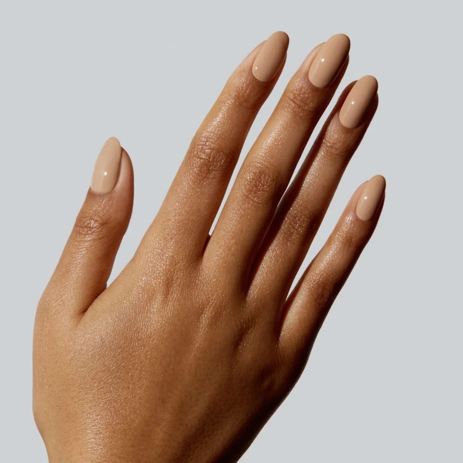 None Visual Idea None Visual Idea — Camel Nails 2027