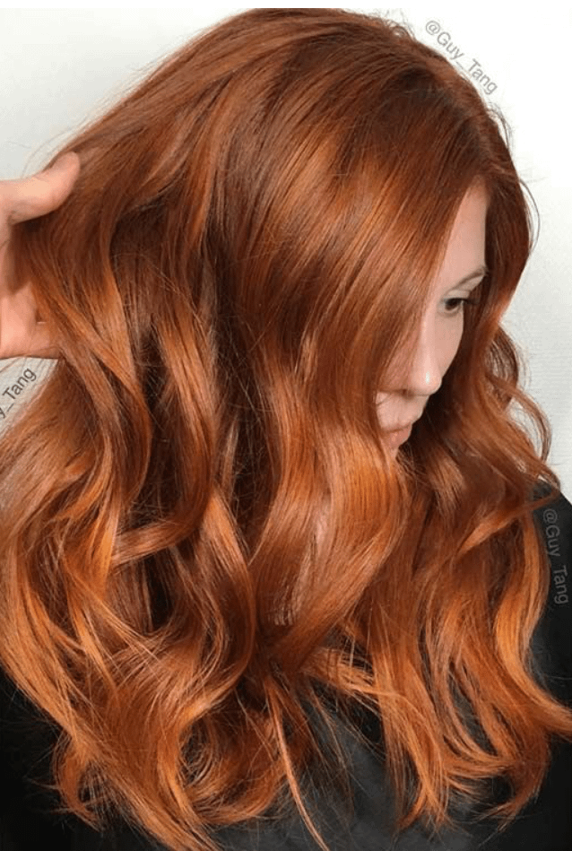 Fiery Dark Auburn With Copper Highlights Fiery Dark Auburn With Copper Highlights — Dark Auburn Hair 2027