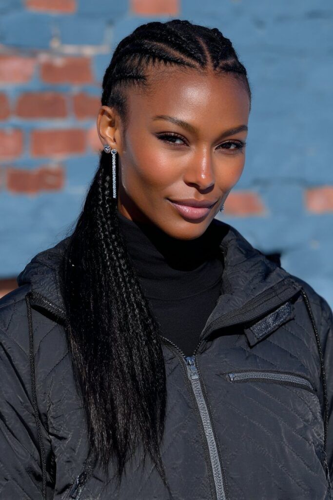 Long Visual Idea — Winter Braid Colors 2027 for Black Women