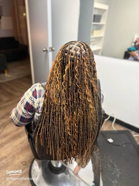 Soft Locs Visual Idea — Soft Locs 2027