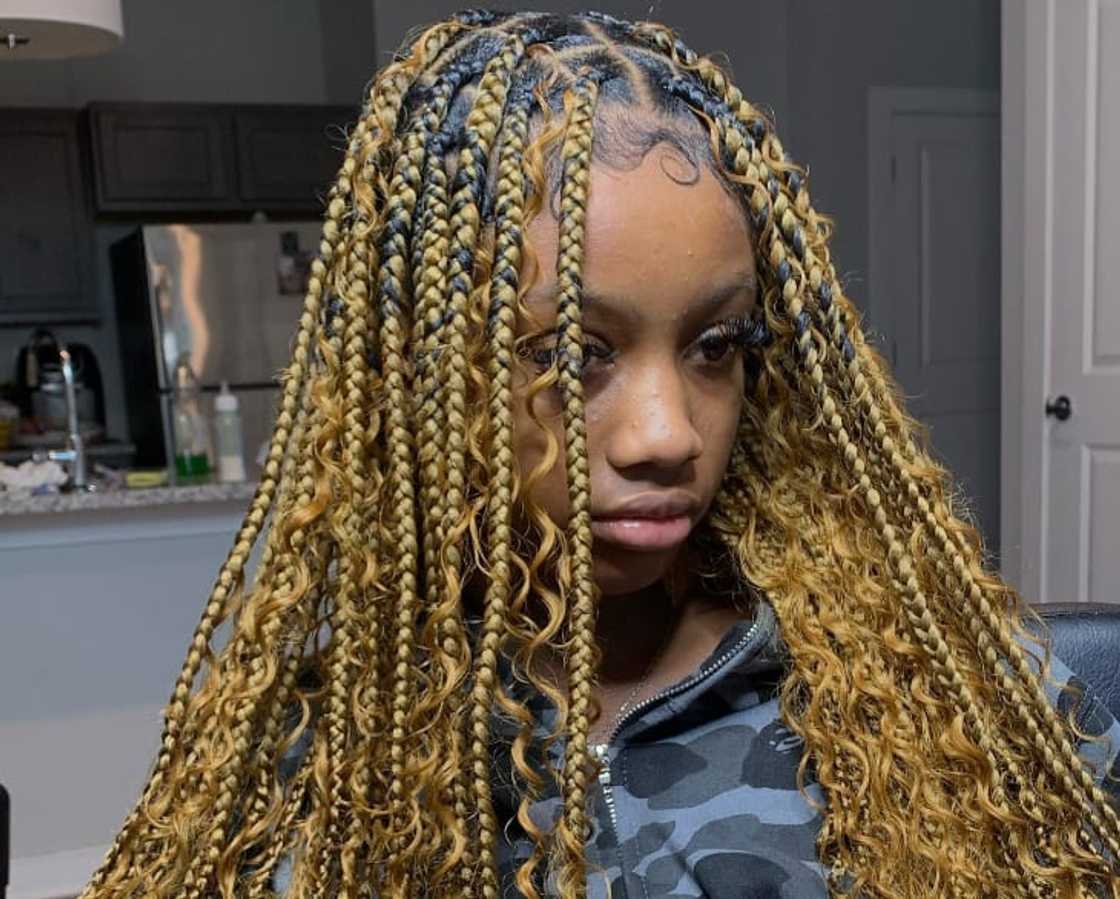 Blonde And Black Visual Idea Blonde And Black Visual Idea — Boho Braids 2027