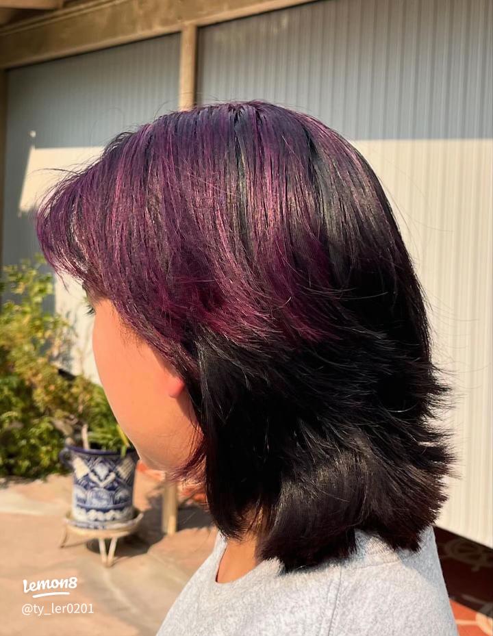 Shag With Purple And Pink Chunky Highlights Shag With Purple And Pink Chunky Highlights — Plum Hair 2027