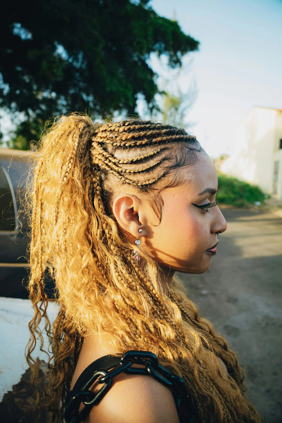 Blonde Visual Idea Blonde Visual Idea — Braided Hairstyles 2027 with Curls