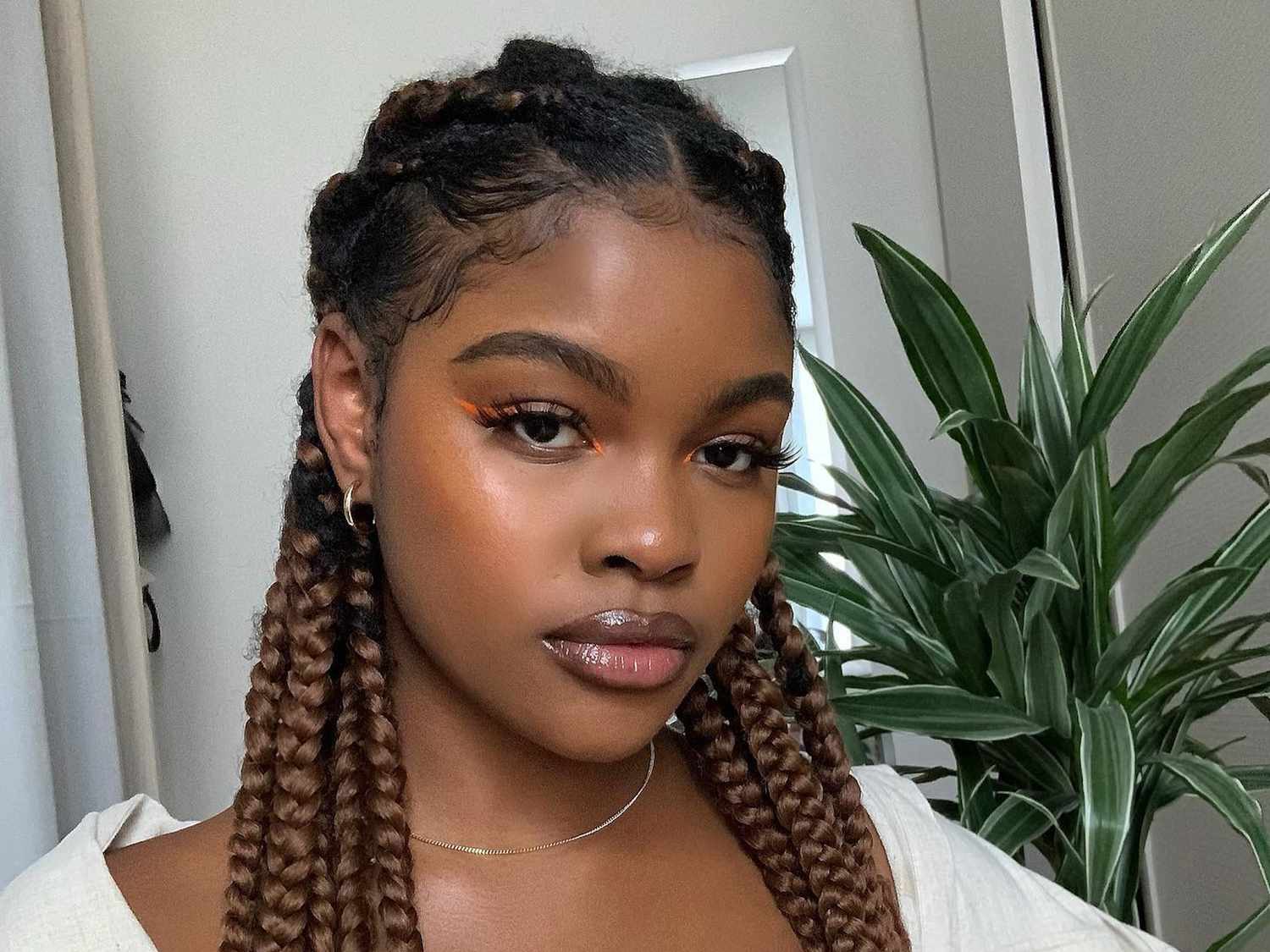 Brown Box Braids With Wavy Texture Brown Box Braids With Wavy Texture — Winter Box Braids 2027