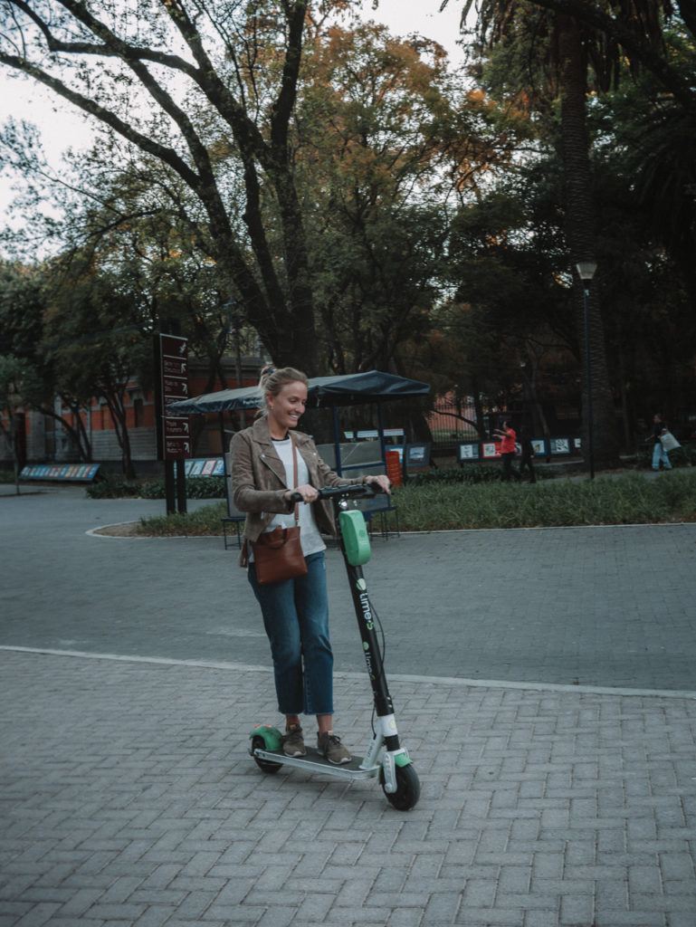 Brown Leather Jacket Over White Tee and Blue Denim Jeans Brown Leather Jacket Over White Tee and Blue Denim Jeans — Mexico City Outfits 2027