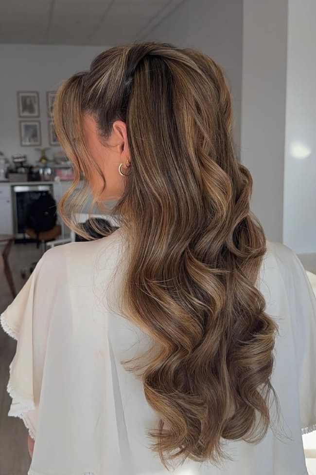 Warm Brown High Ponytail Warm Brown High Ponytail — Half Up Half Down Hairstyles 2027