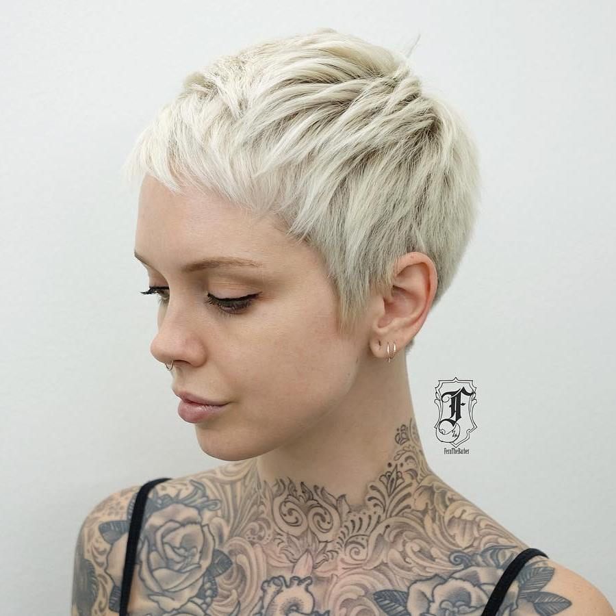 Platinum Pixie With Wispy Bangs Platinum Pixie With Wispy Bangs — Babylights Pixie 2027