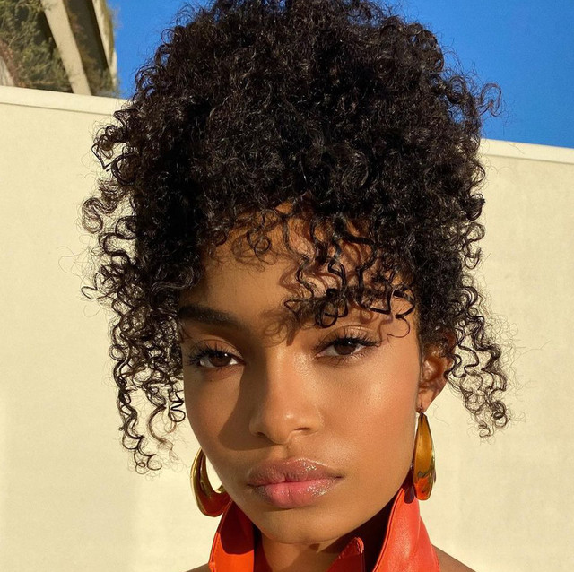 Dark Brown Updo With Face-Framing Tendrils Dark Brown Updo With Face-Framing Tendrils — 3A Curly Hairstyles 2027