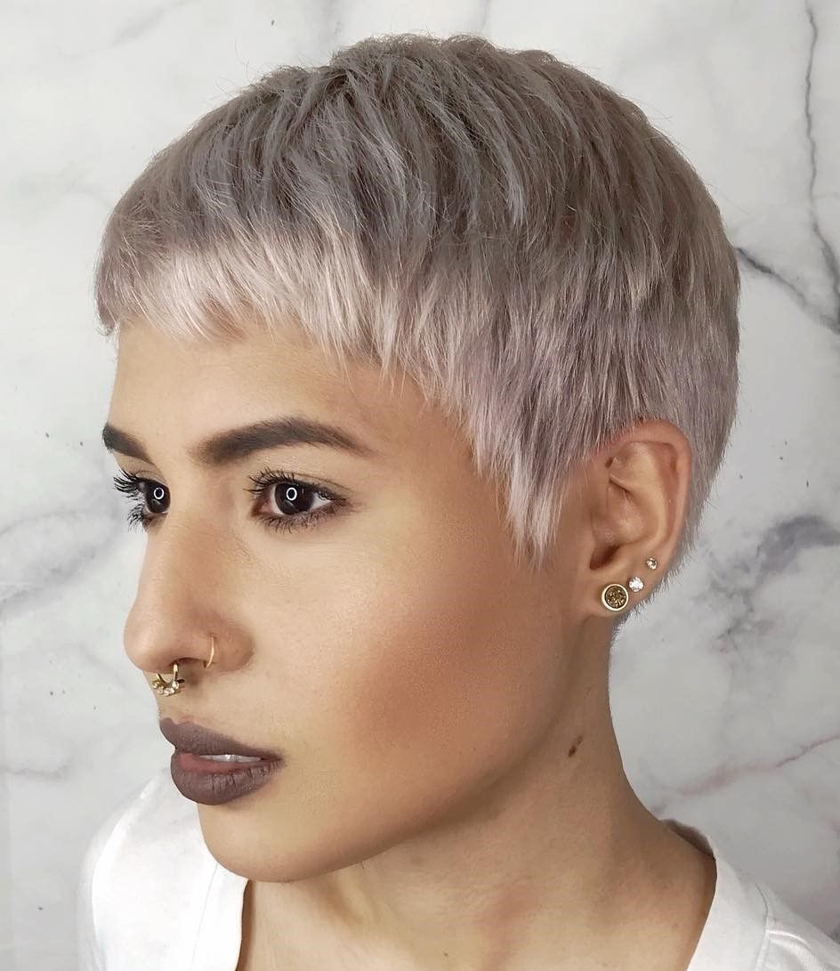 Sharp Silver Pixie With Micro Bangs Sharp Silver Pixie With Micro Bangs — Silver Pixie 2027