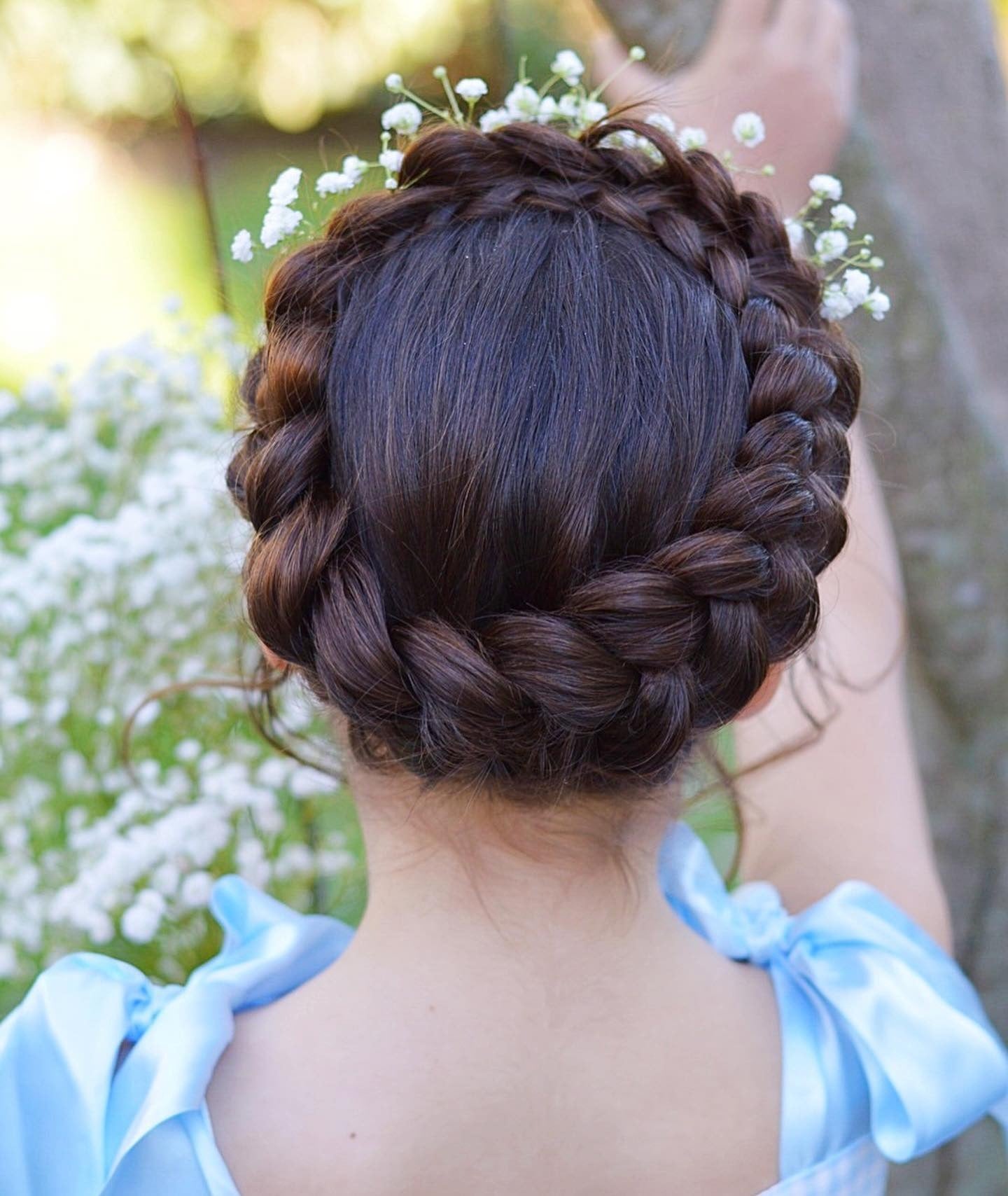 Dark Brown Visual Idea — Crown Braid 2027