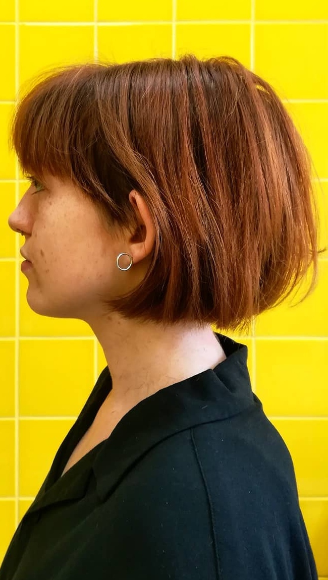 Reddish Brown Visual Idea Reddish Brown Visual Idea — Undercut Bob 2027