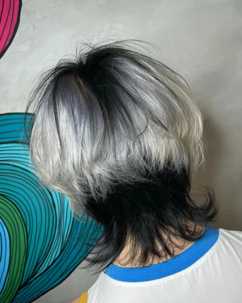 Dramatic Two-Tone Shag Mullet Dramatic Two-Tone Shag Mullet — Octopus Haircut 2027
