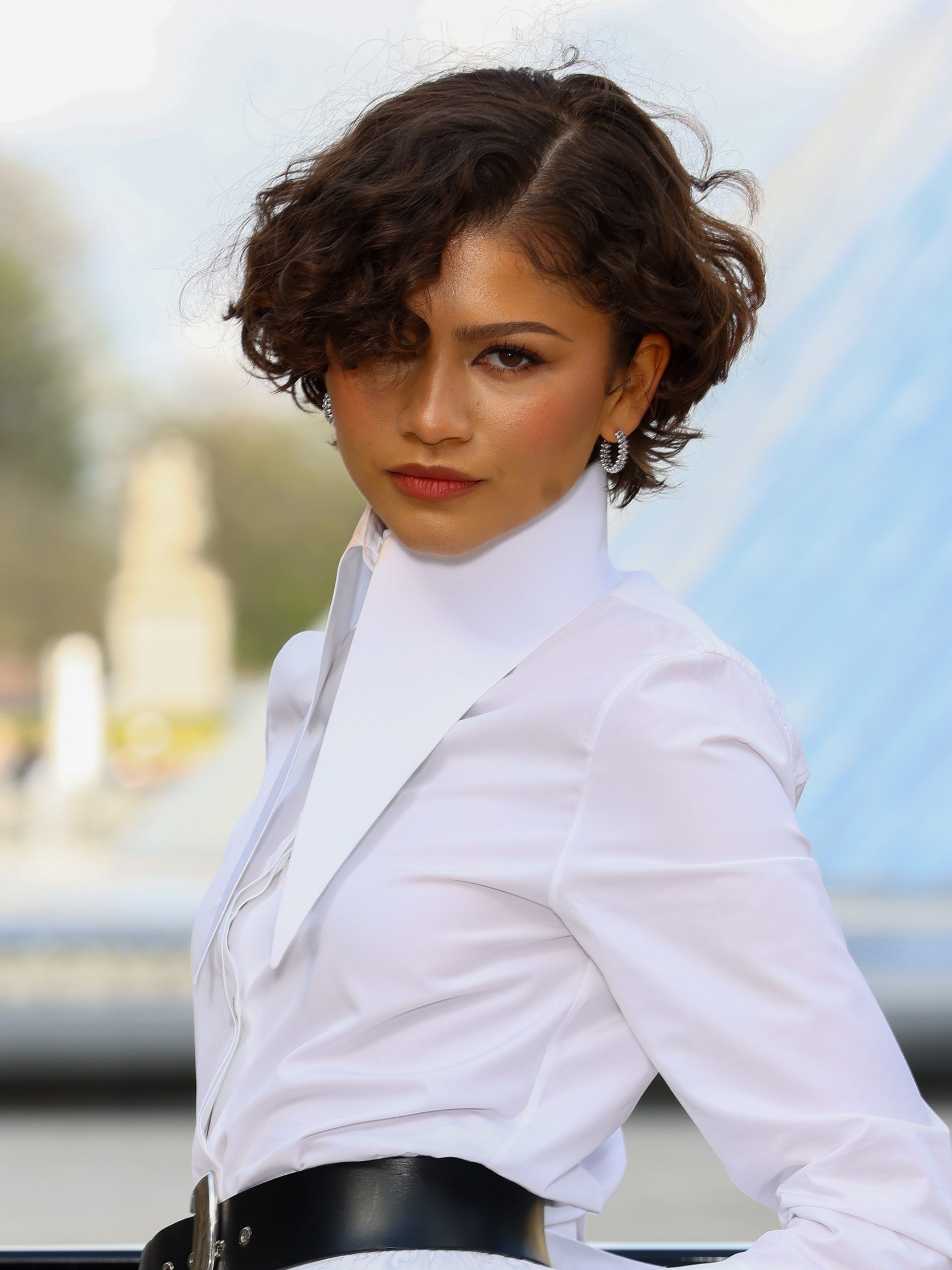 Tousled Curly Pixie Shag Tousled Curly Pixie Shag — Trendy Haircuts 2027
