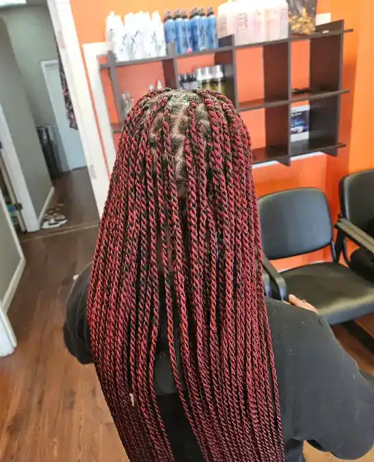 Vibrant Two-Tone Twists Vibrant Two-Tone Twists — Senegalese Twists 2027