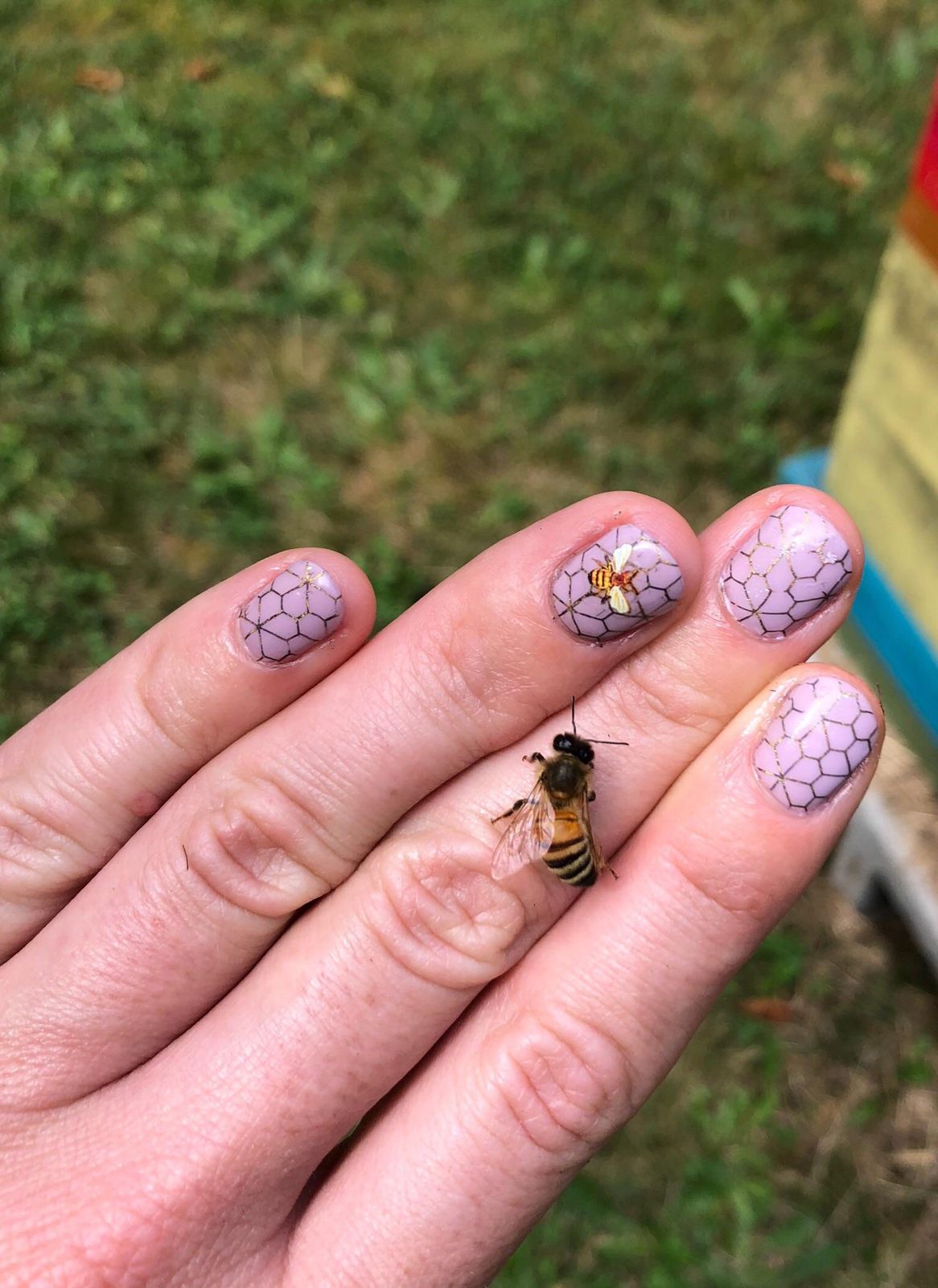 Glossy Subtle Shimmer Visual Idea Glossy Subtle Shimmer Visual Idea — Bee Nails 2027