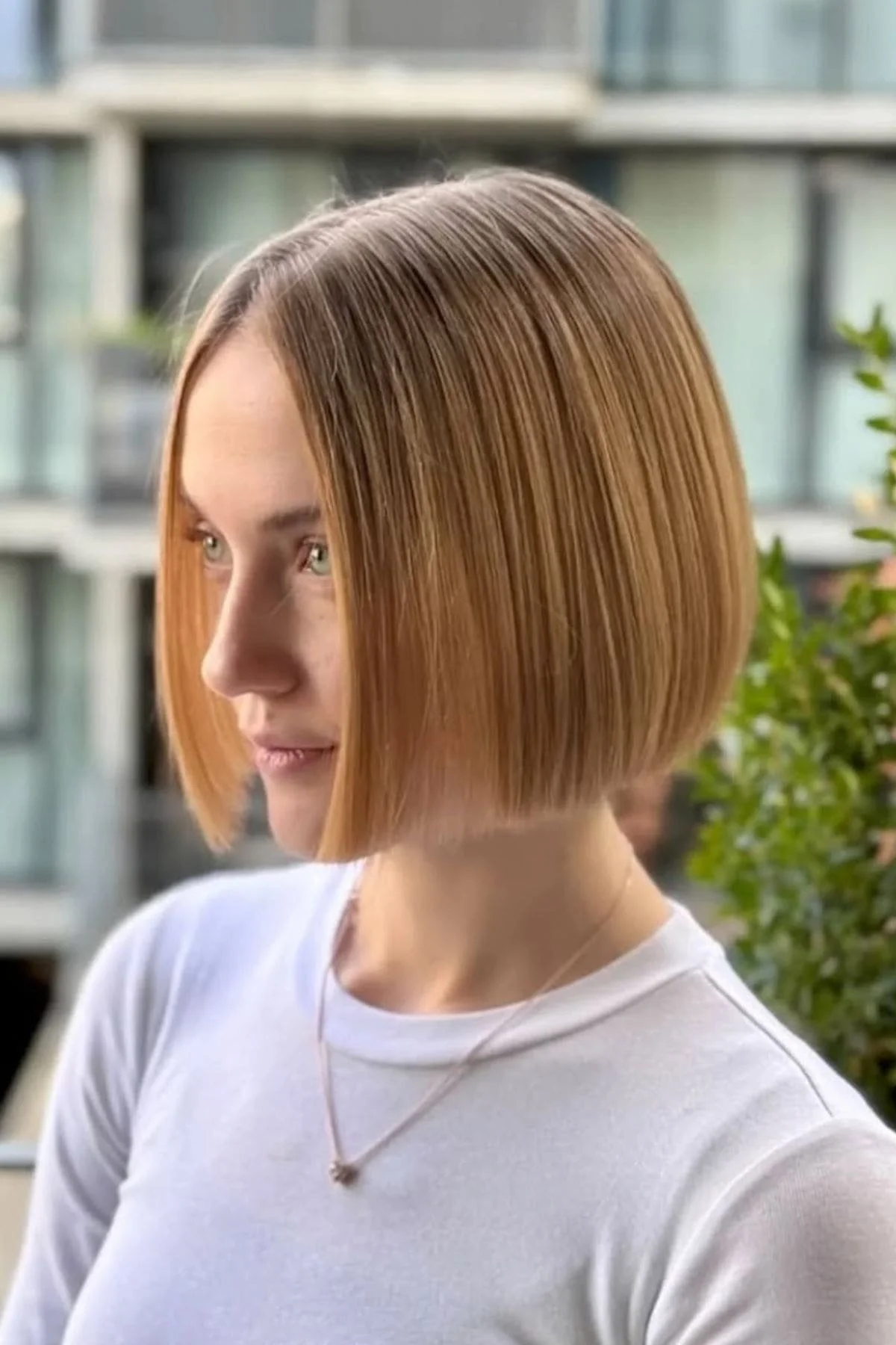 Blunt Collarbone Bob Blunt Collarbone Bob — Bob 2027 for Straight Hair