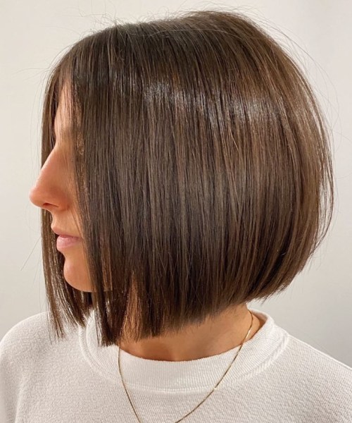 Sleek Chin Length Bob Side Profile Sleek Chin Length Bob Side Profile — Dark Brown Hair 2027