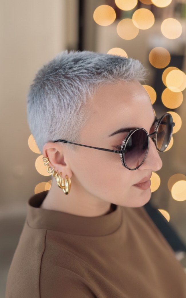 Textured Silver Grey Buzz Cut — Silver Hair 2027
