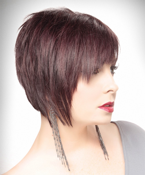 Dark Plum Red Asymmetrical Bob Dark Plum Red Asymmetrical Bob — Plum Hair 2027