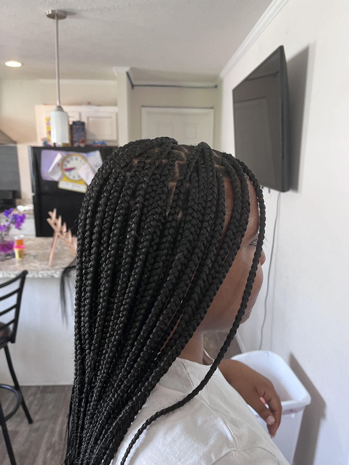 Layers Visual Idea Layers Visual Idea — Knotless Braids 2027 for Round Face