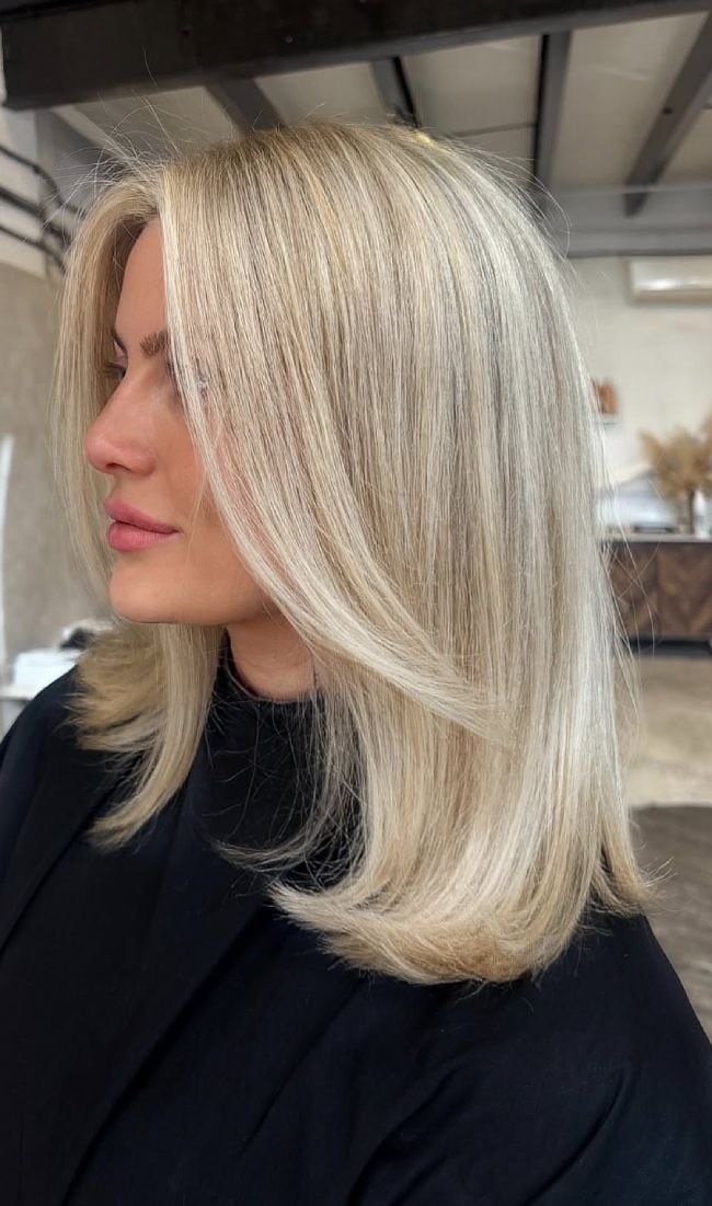 Platinum Blonde Visual Idea Platinum Blonde Visual Idea — Subtle Layered Haircut 2027