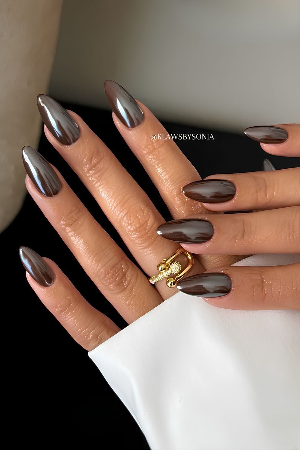Rich Dark Brown Chrome Rich Dark Brown Chrome — Dark Chrome Nails 2027