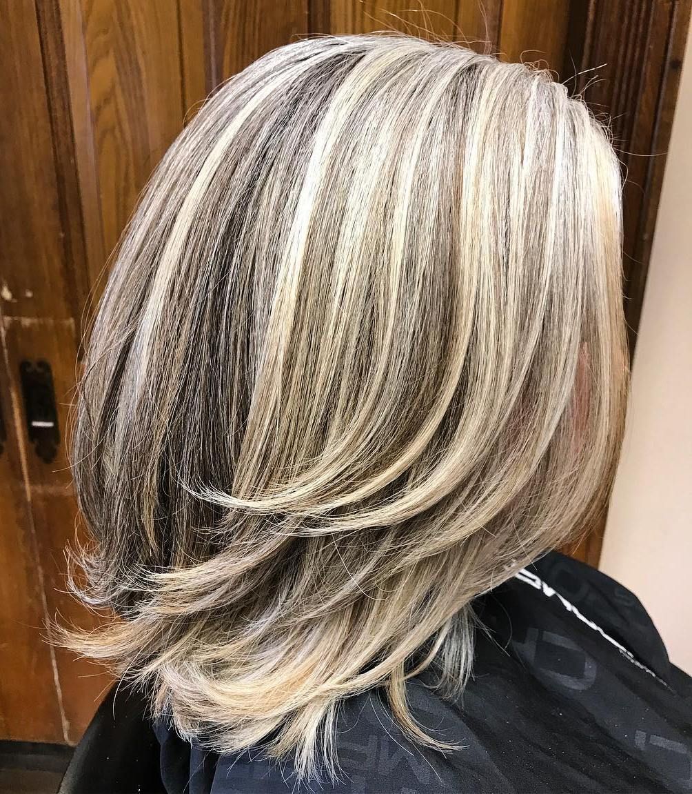 Layered Bob Visual Idea Layered Bob Visual Idea — Balayage on Gray Hair 2027