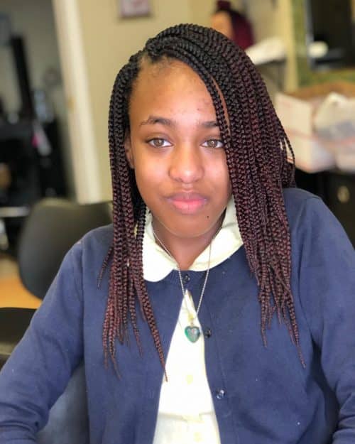 Ombre Box Braids With Side Part — Braids 2027 for Medium Hair