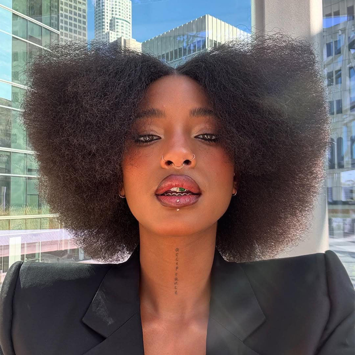 Ear Visual Idea Ear Visual Idea — Puff Hairstyles Natural Hair 2027