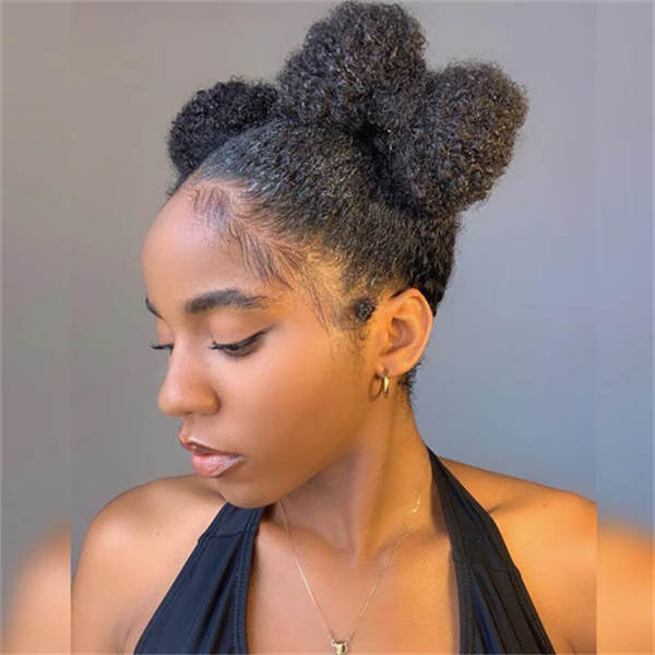 Double Bun Shape Double Bun Shape — 4C Hairstyles 2027