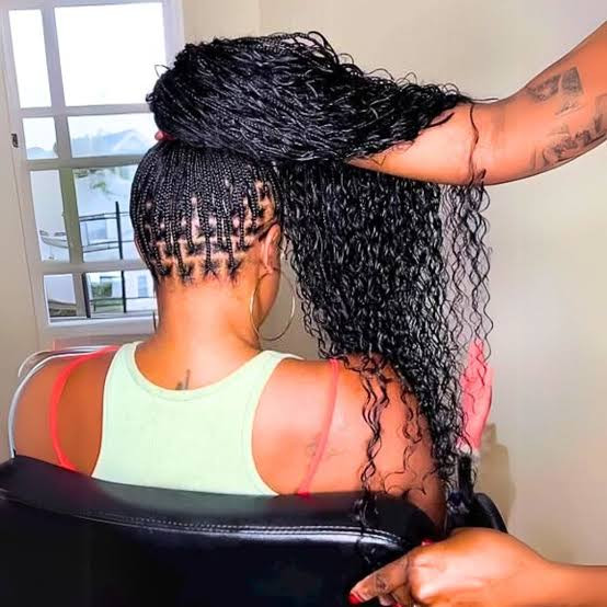 Back View Visual Idea Back View Visual Idea — Braids 2027 with Curly Ends