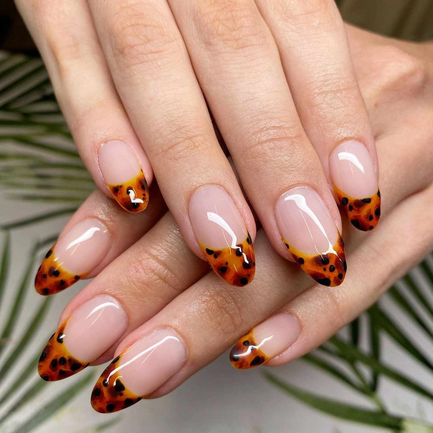 Tortoiseshell French Nude Nails Tortoiseshell French Nude Nails — Fall French Tip Nails 2026