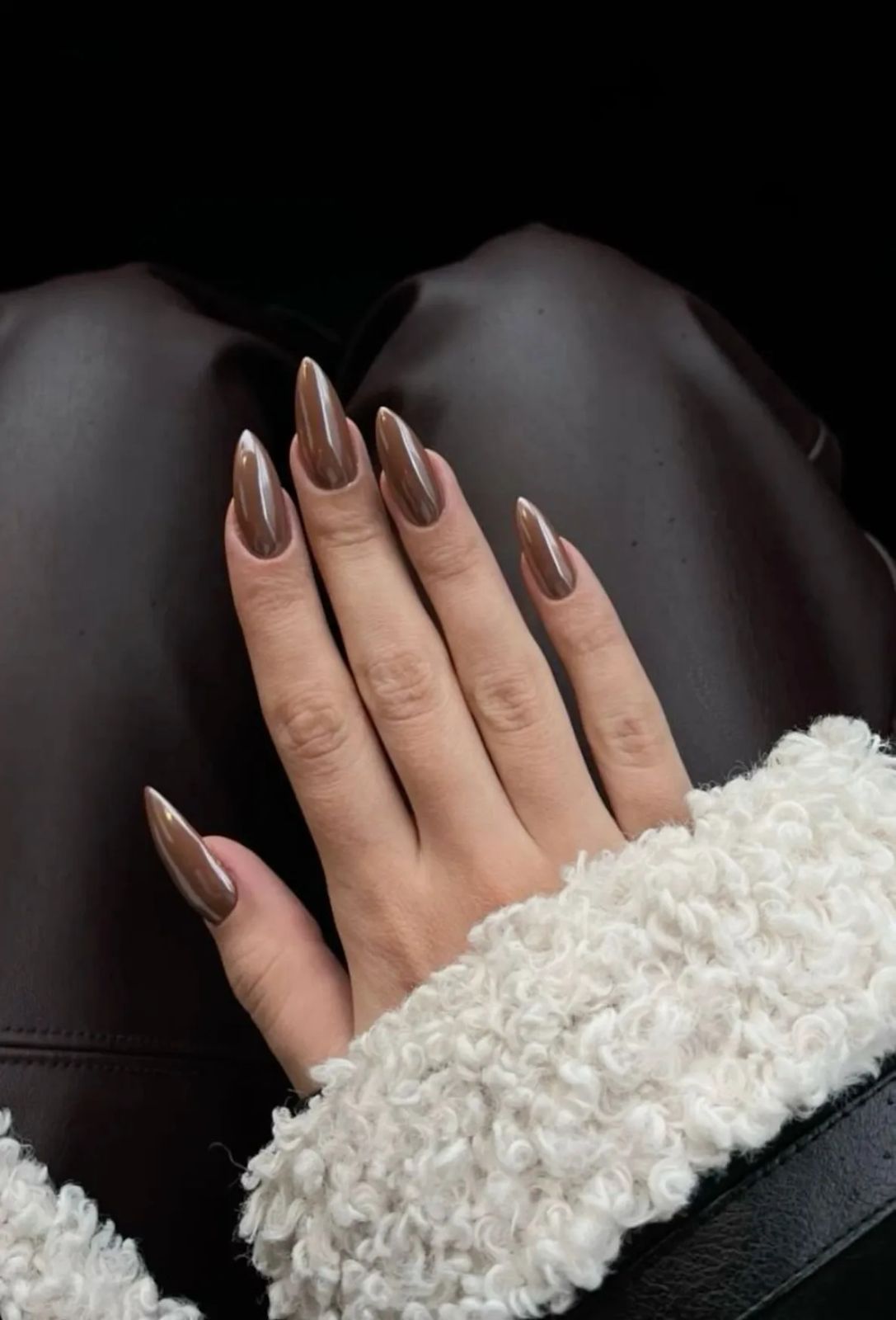 Dark Brown Visual Idea Dark Brown Visual Idea — Dark Chrome Nails 2027