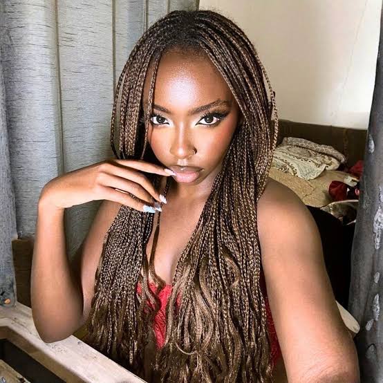 Long Micro Braids with Wavy Ends Long Micro Braids with Wavy Ends — Braided Hairstyles 2027 for Black Women