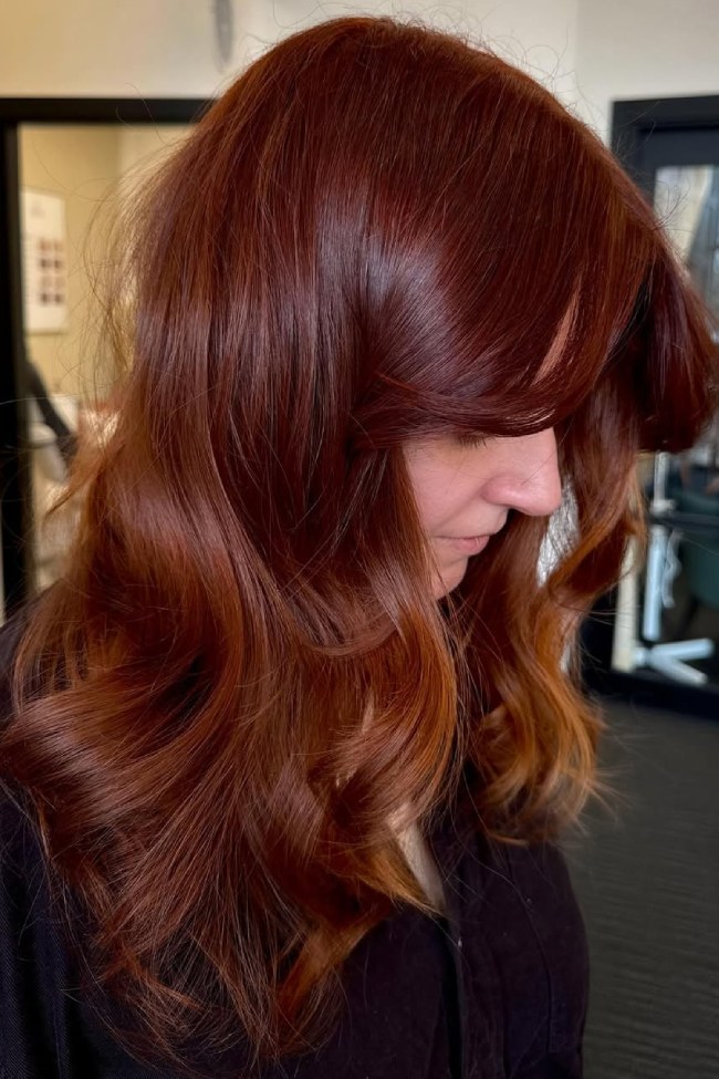 Rich Dark Auburn With Copper Ends Rich Dark Auburn With Copper Ends — Dark Auburn Hair 2027