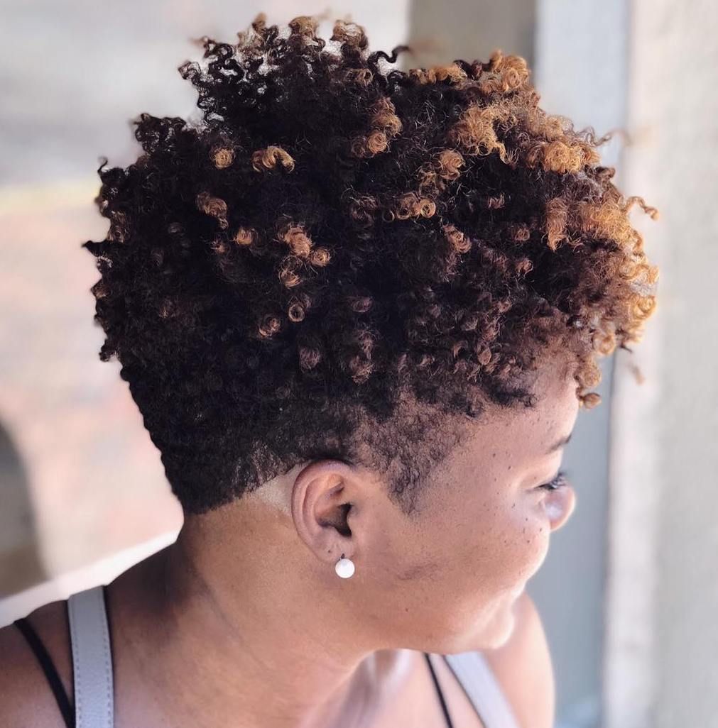 Dark Brown With Blonde Tips Visual Idea — Natural Hairstyles 2027 for 4B Hair