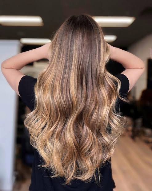 Back View Visual Idea Back View Visual Idea — Bronde Hair 2027