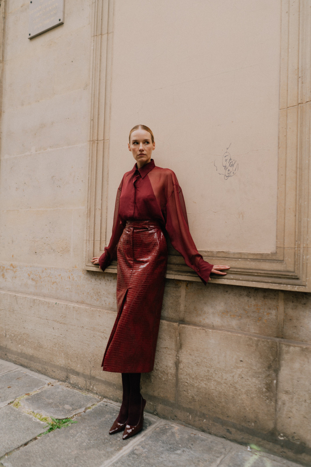Deep Red Sheer Chiffon Blouse with Faux Leather Skirt Deep Red Sheer Chiffon Blouse with Faux Leather Skirt — Chiffon Blouse Outfits 2027