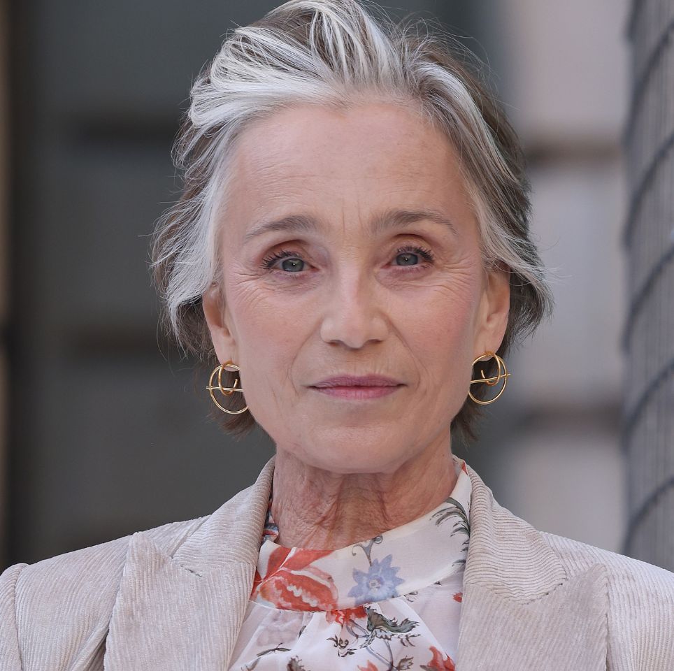 Chin Bob With Curtain Bangs and Gray Blend — Transitioning to Gray Hair 2027
