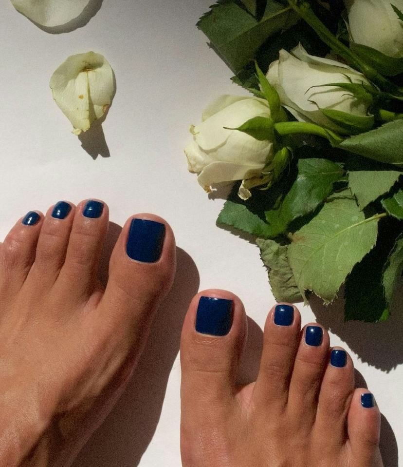 Winter Visual Idea — Winter Pedicure Colors 2027