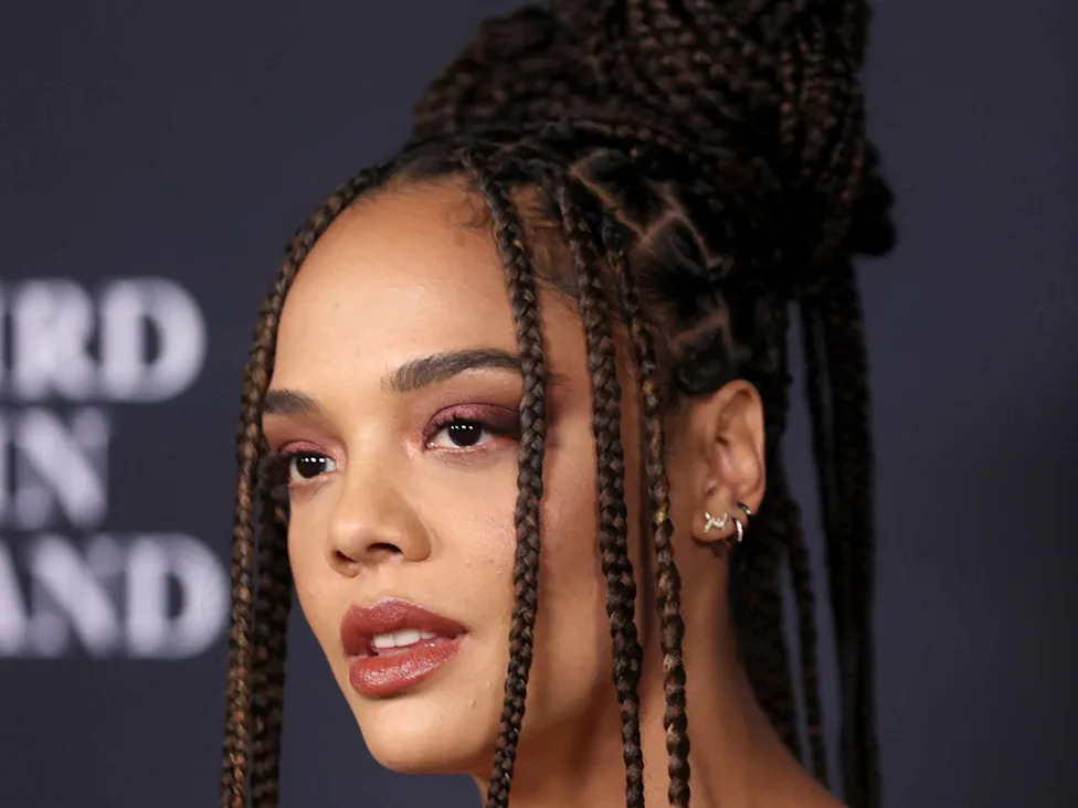 Mid-Back Dark Brown and Blonde Braids Updo Mid-Back Dark Brown and Blonde Braids Updo — Winter Box Braids 2027
