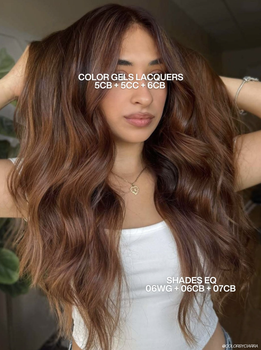 Chocolate Brown With Dimensional Highlights Chocolate Brown With Dimensional Highlights — Fall Hair Colors 2026
