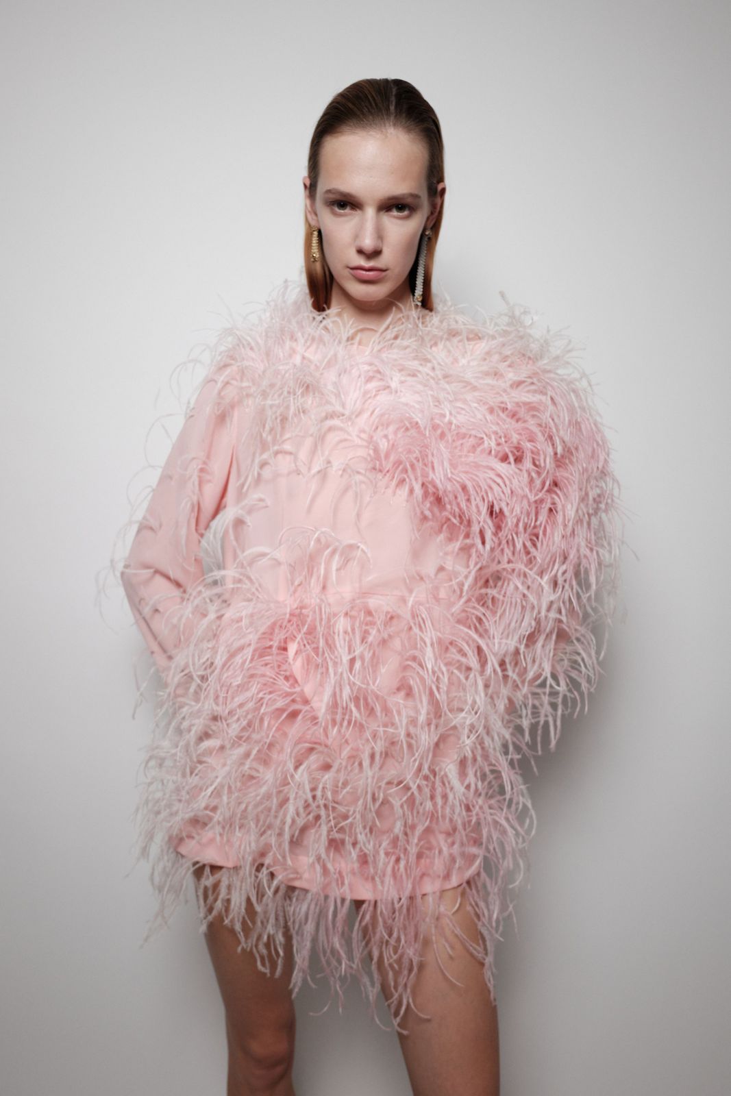 Pale Pink Mini Dress with Voluminous Feather Neckline Overlay Pale Pink Mini Dress with Voluminous Feather Neckline Overlay — Feather Outfits 2027