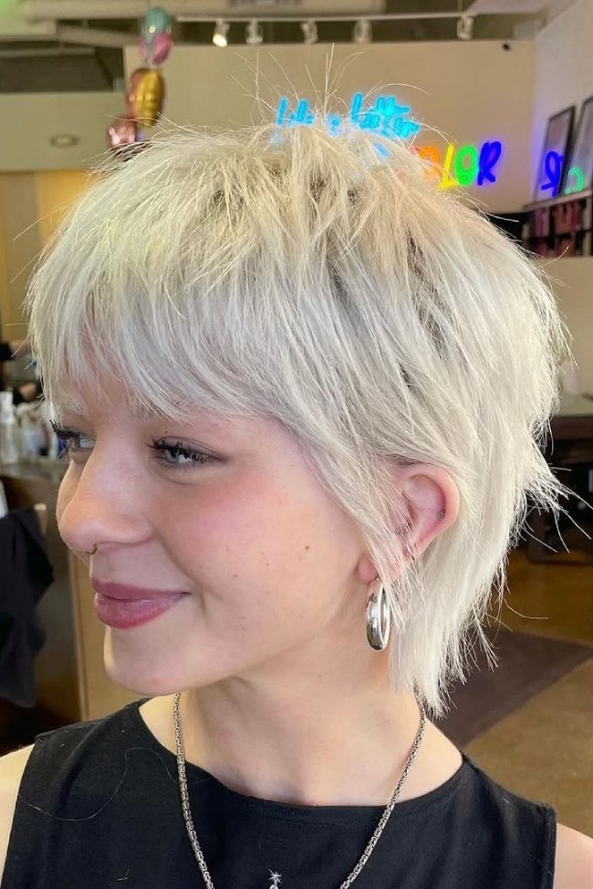 Edgy Platinum Pixie Shag Edgy Platinum Pixie Shag — Short Shag 2027