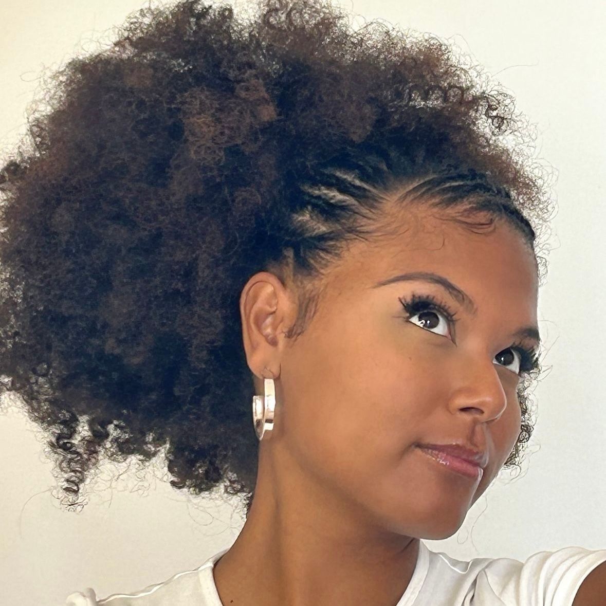 Natural Afro Visual Idea Natural Afro Visual Idea — Easy Natural Hairstyles 2027