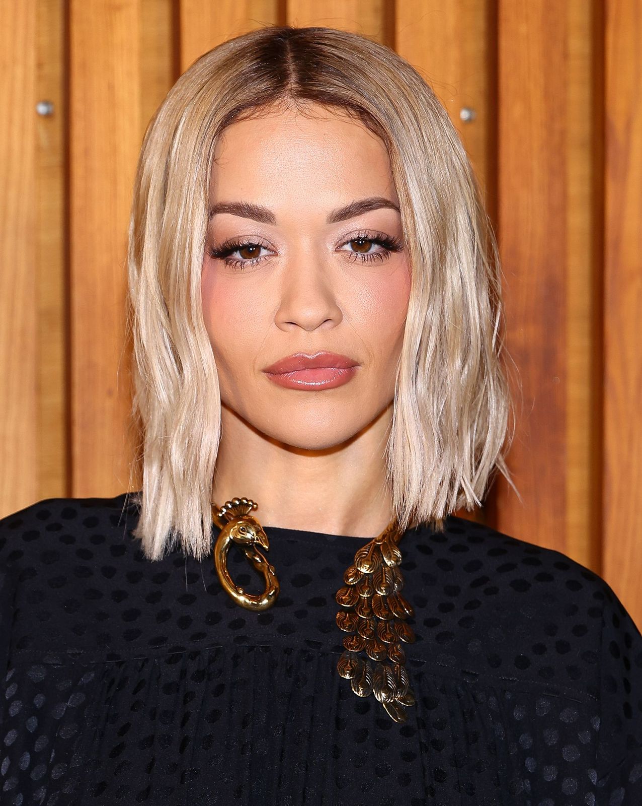 Visual Idea — Cute Hairstyles 2027