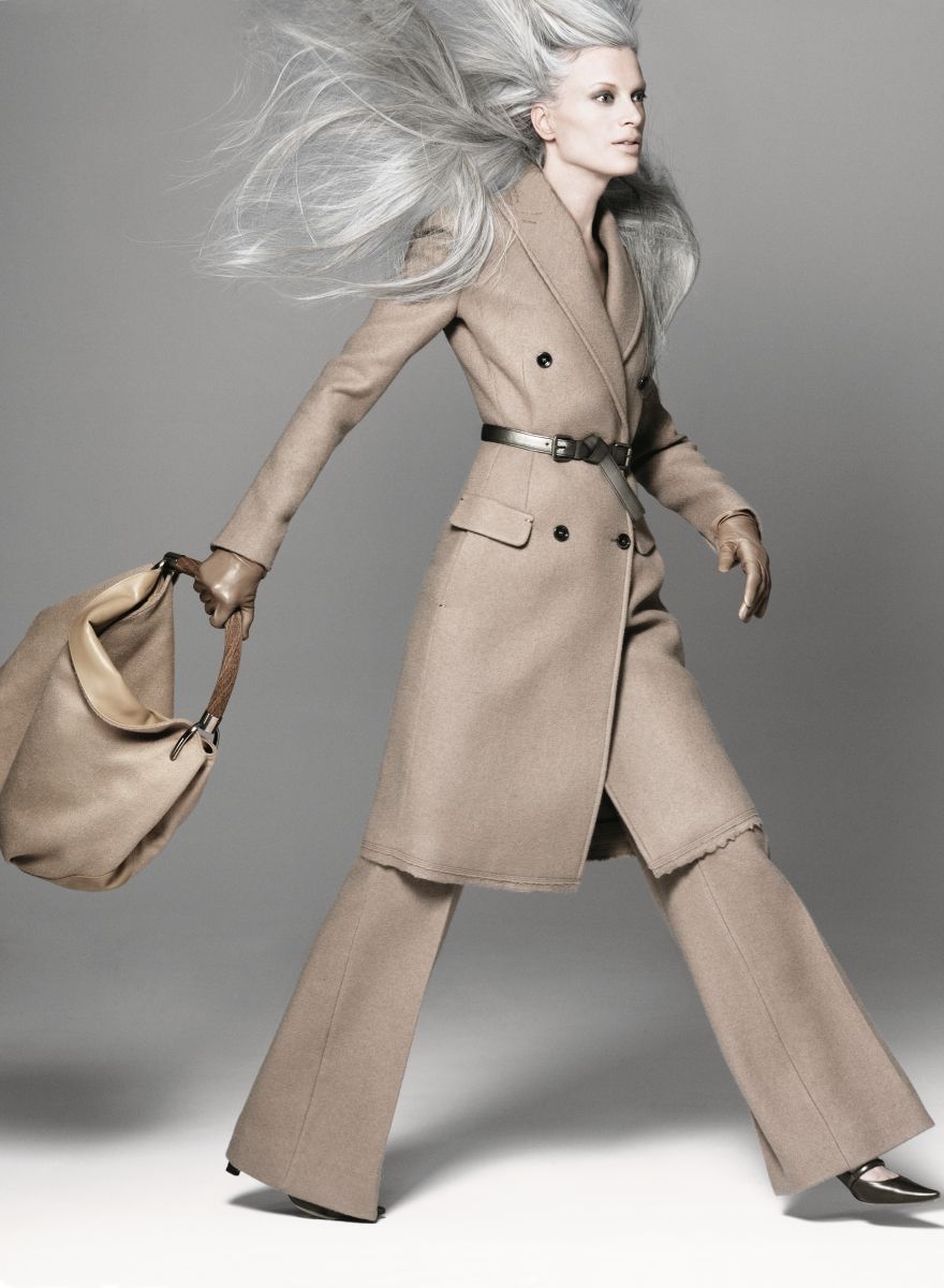 Mid-Back Visual Idea — Transitioning to Gray Hair 2027