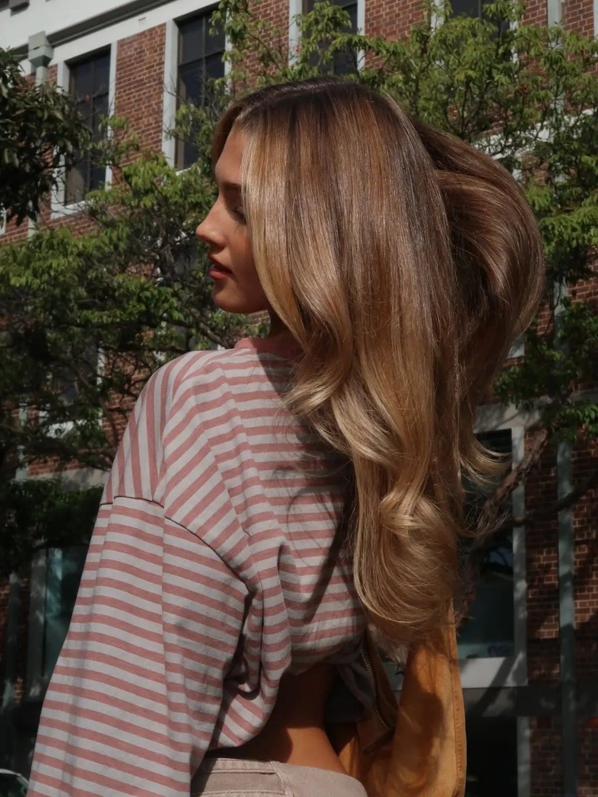 Visual Idea Visual Idea — Old Money Hair Color 2027