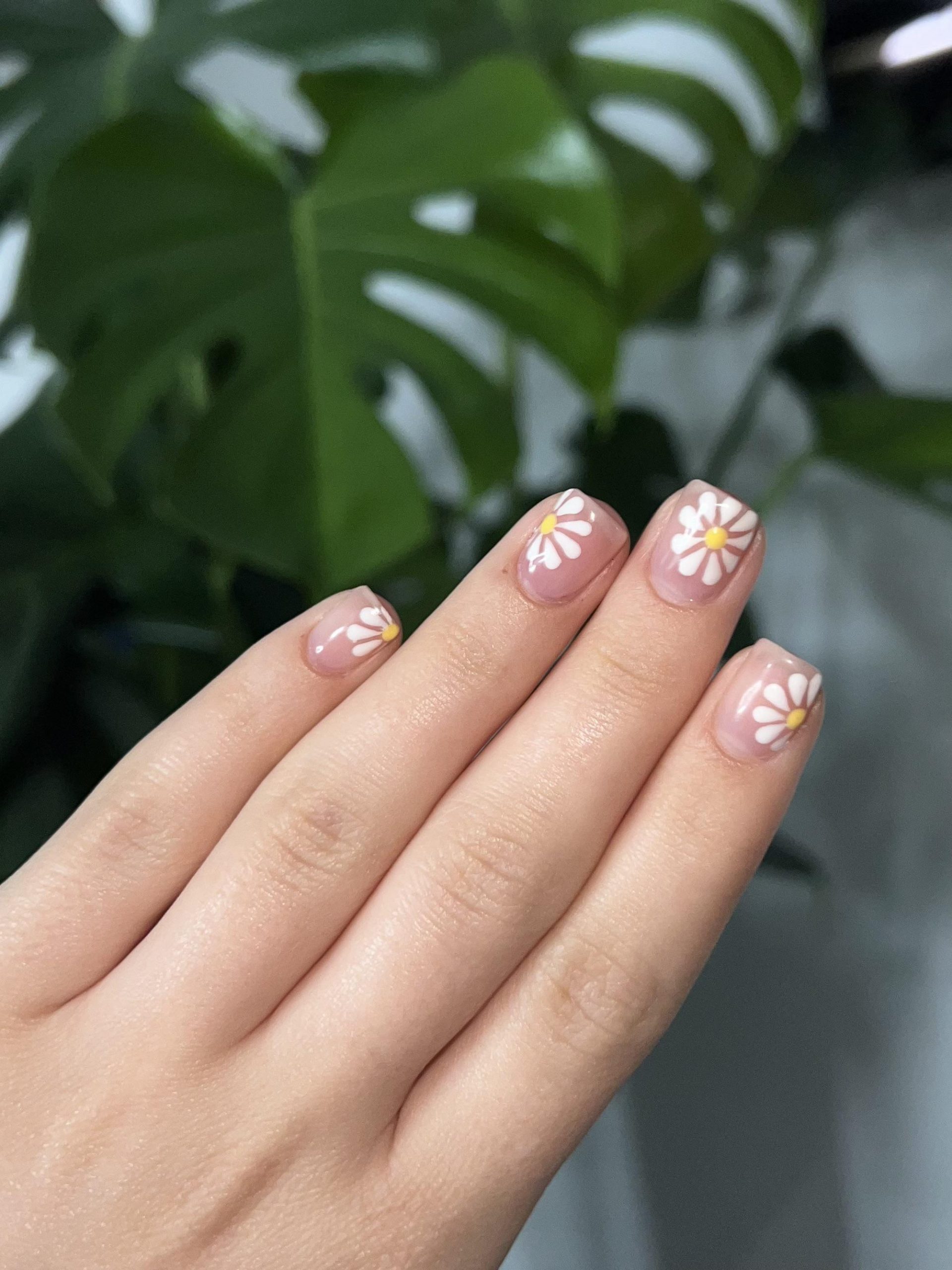 Short Square Clean Nude Daisies Short Square Clean Nude Daisies — Daisy Flower Nails 2027