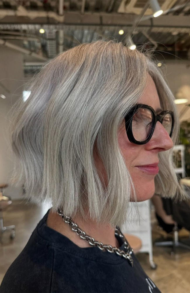 Sleek Silver Gray Blunt Bob Sleek Silver Gray Blunt Bob — Gray Bob 2027